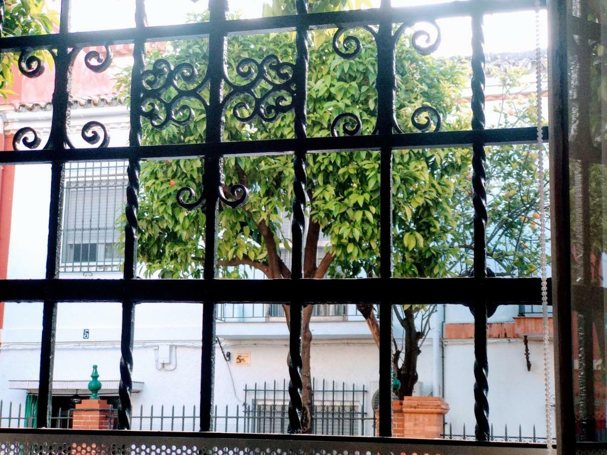 Wish Suite Barrio De Leon En Triana Sevilla Kültér fotó